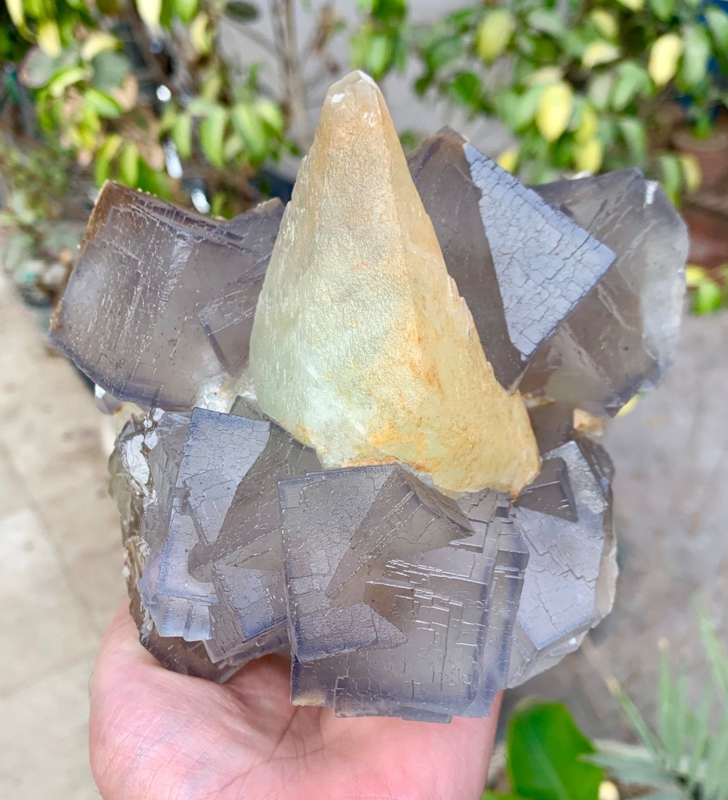 2.5 Kg Fantastic Combo Of Fluorite With Calcite From Baluchistan Pakistan.
