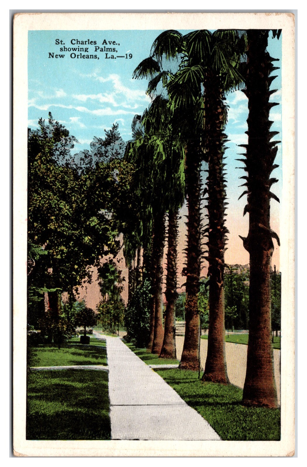 St. Charles Ave Showing Palms New Orleans Louisiana SIdewalk Cloud Road