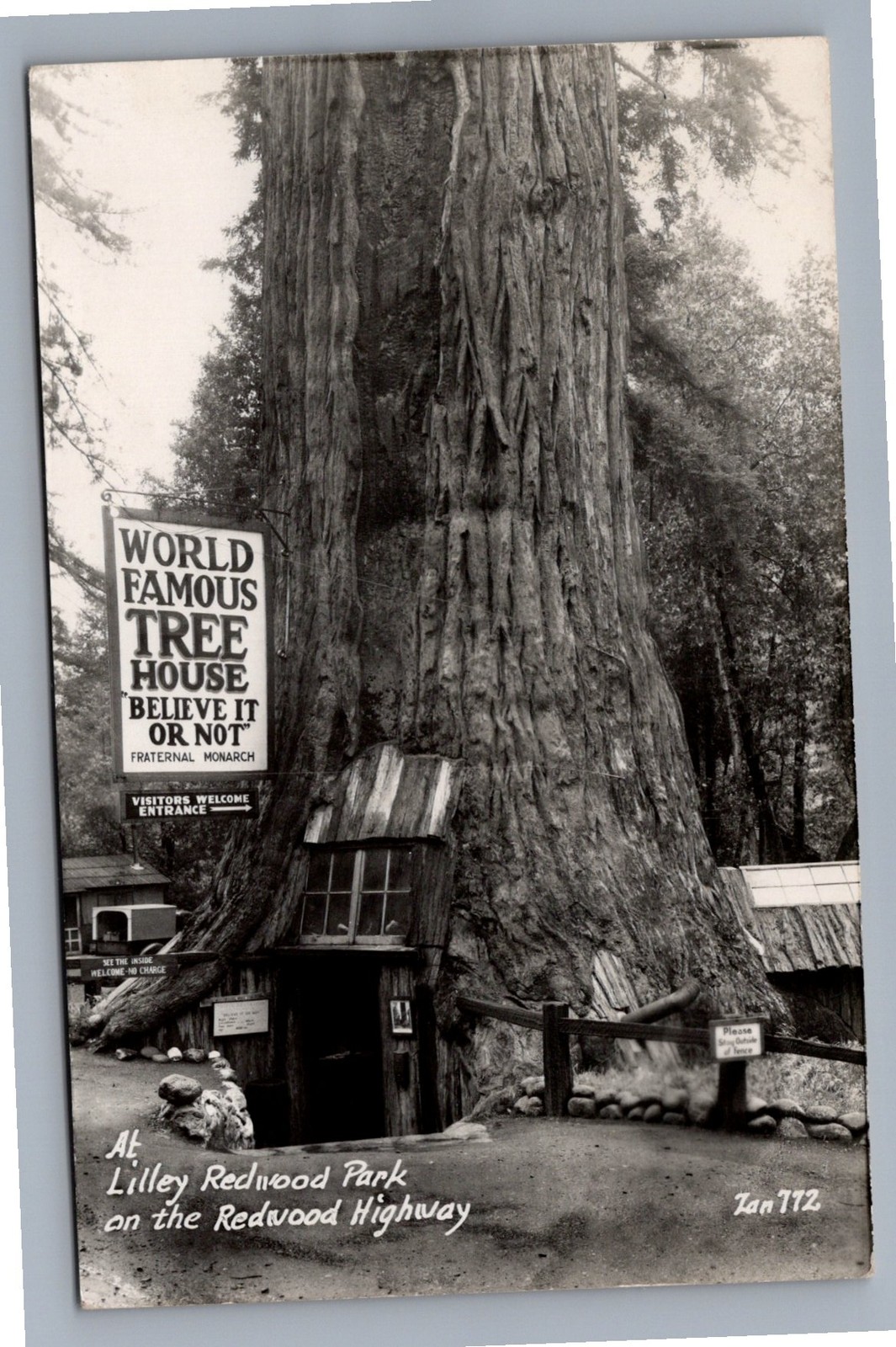 RPPC World Famous Tree House Lilley Redwood Park Redwood Highway CA Photo