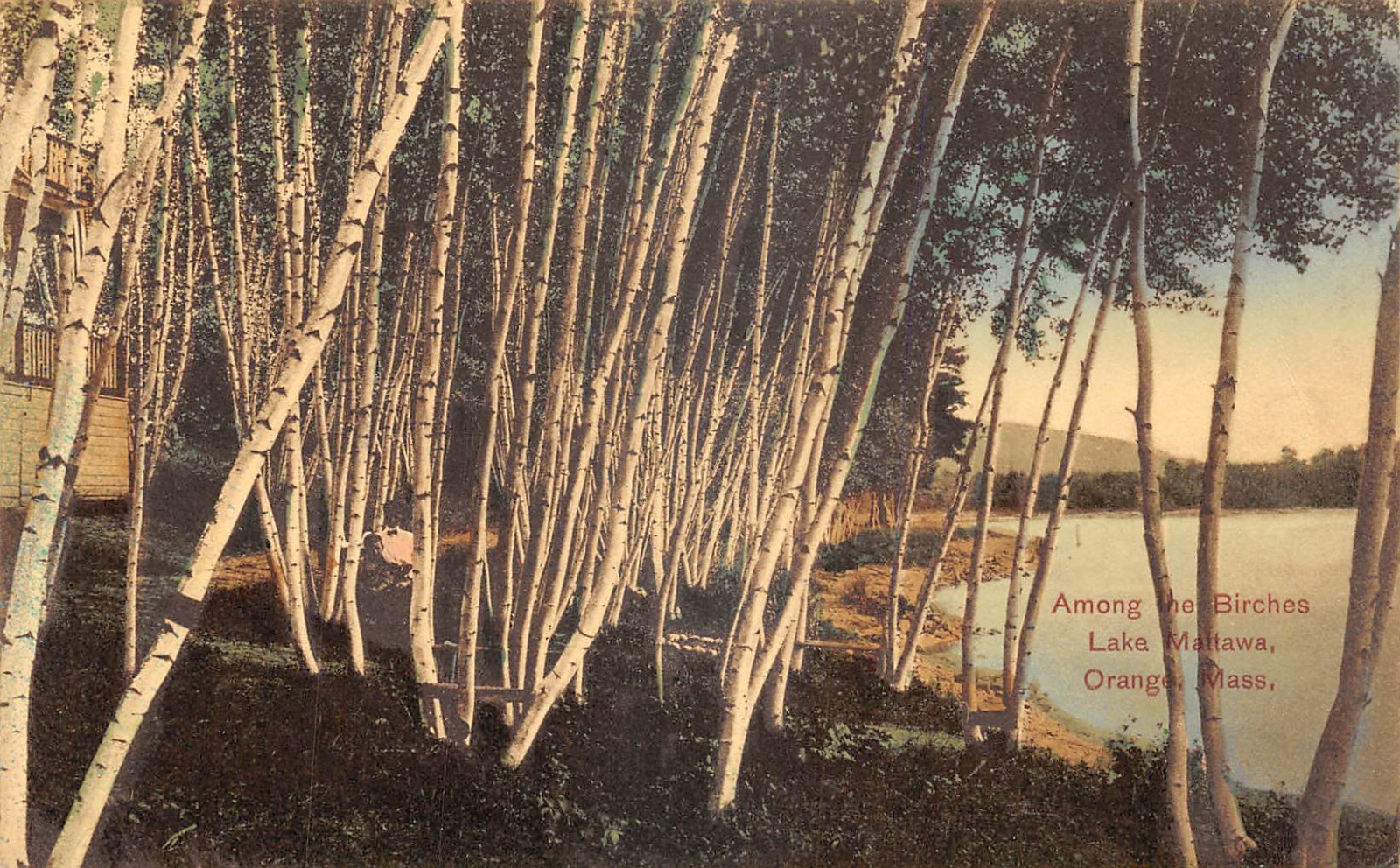 Orange Massachusetts Lake Mattawa Among The Birches 1909 DB Postcard