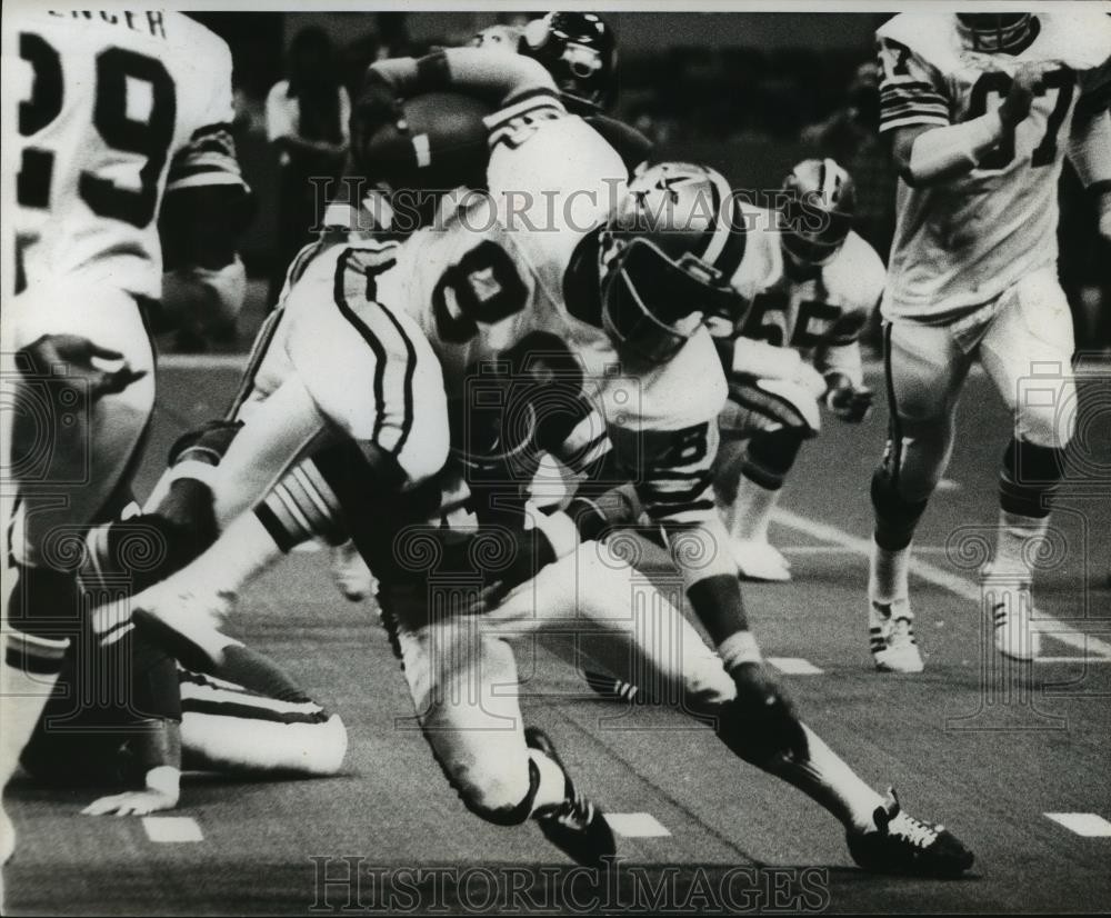 1977 Press Photo New Orleans Saints Football Player Gil Chapman - nos07098