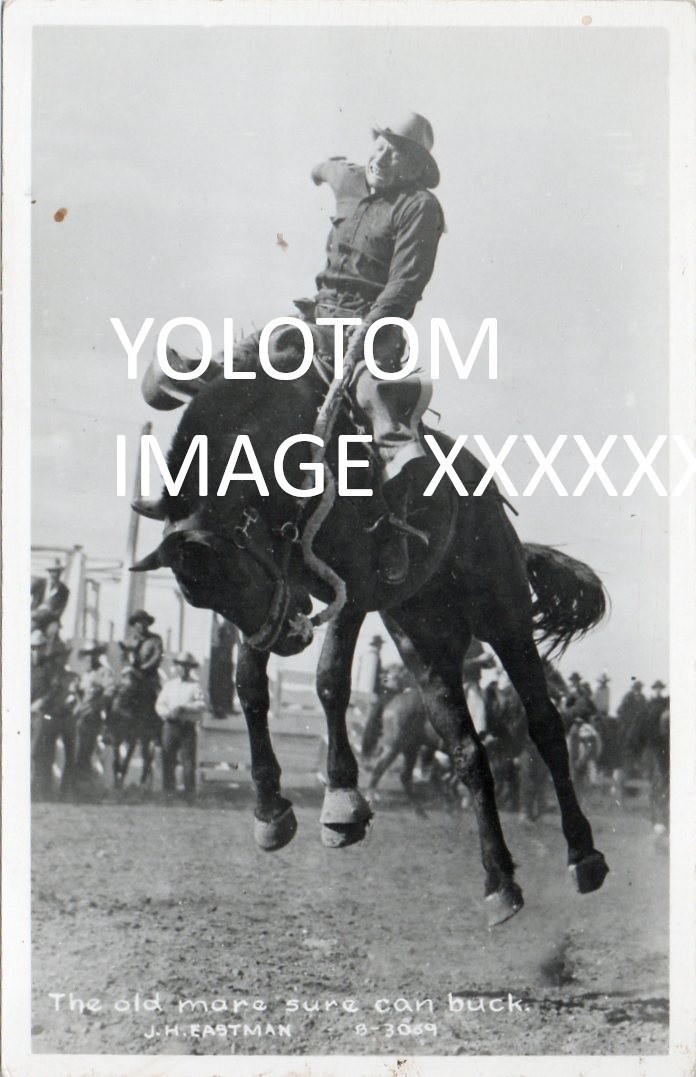 Eastman RPPC-Rodeo-Bucking Horse-Red Bluff-Ca? -California-Vintage Postcard