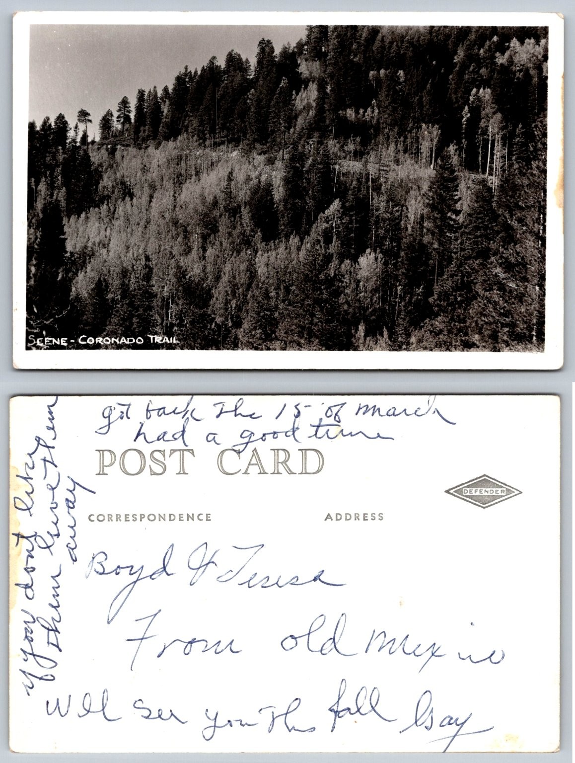 Coronado Trail Arizona RPPC Postcard c1908 Forest Landscape Real Photo Defender