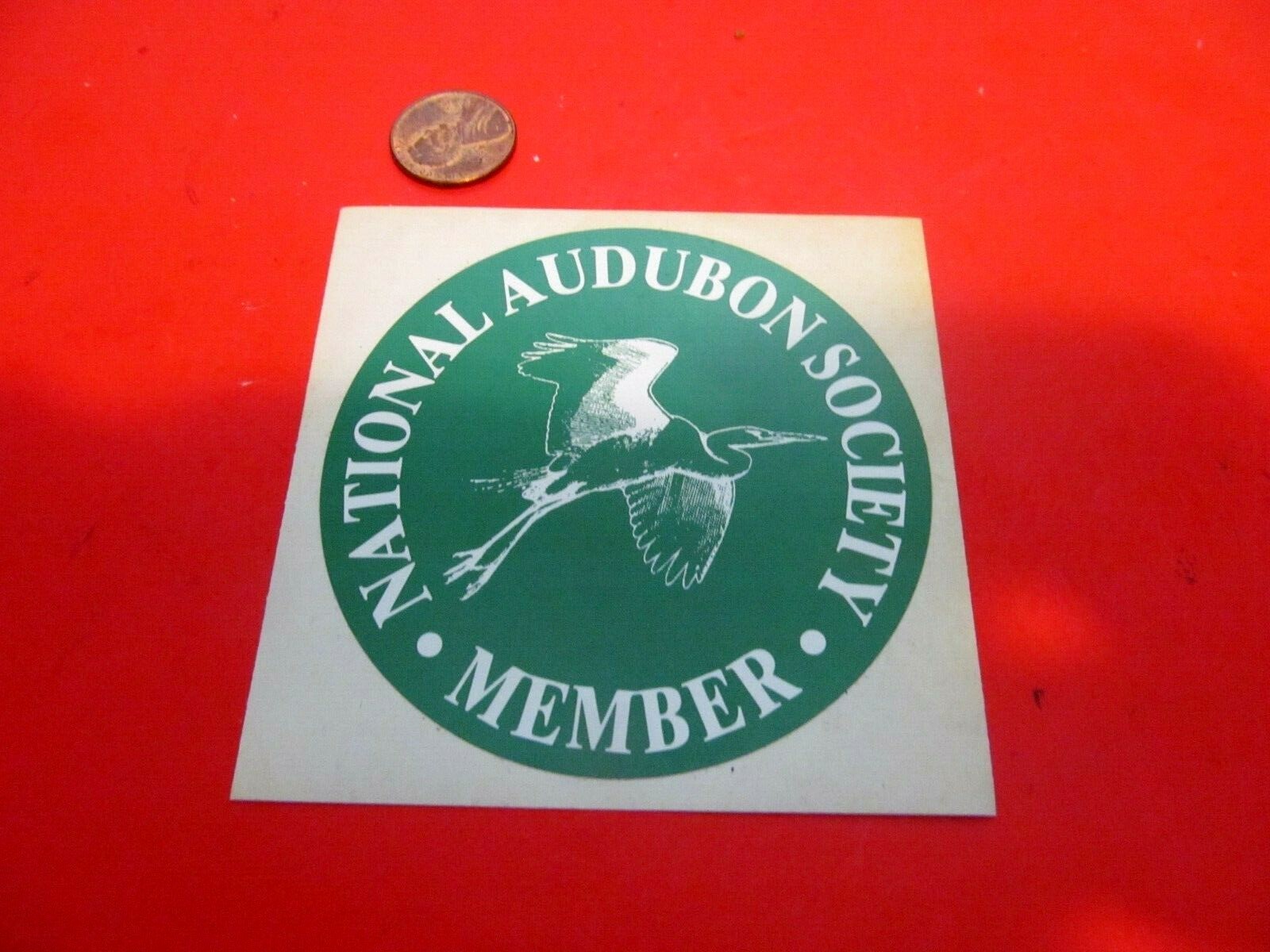 VINTAGE NAS GREEN Sticker / Decal  ORIGINAL OLD STOCK 