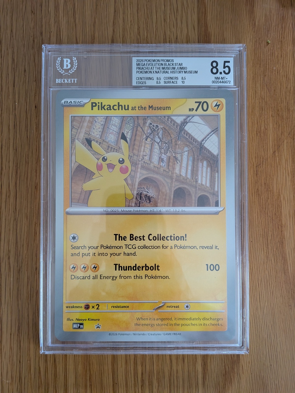 Pokémon TCG Pikachu At The Museum Jumbo Promo Card SWSH039 BGS 8.5 Not PSA
