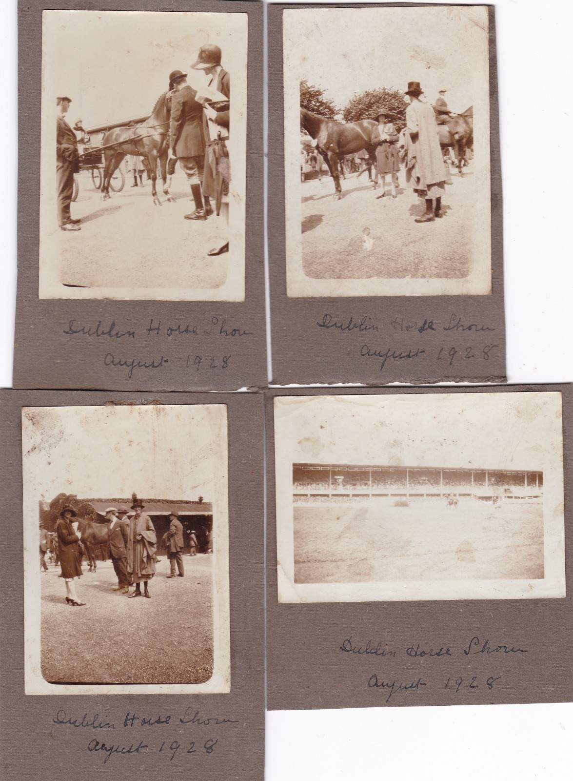 Five Antique c1928 Photographs Of Dublin Horse Show Ballsbridge Equine Interest