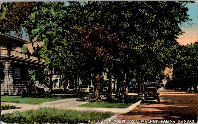 Vintage Postcard 8th St. north from Walnut St. Salina KS Kansas 1910       J-387