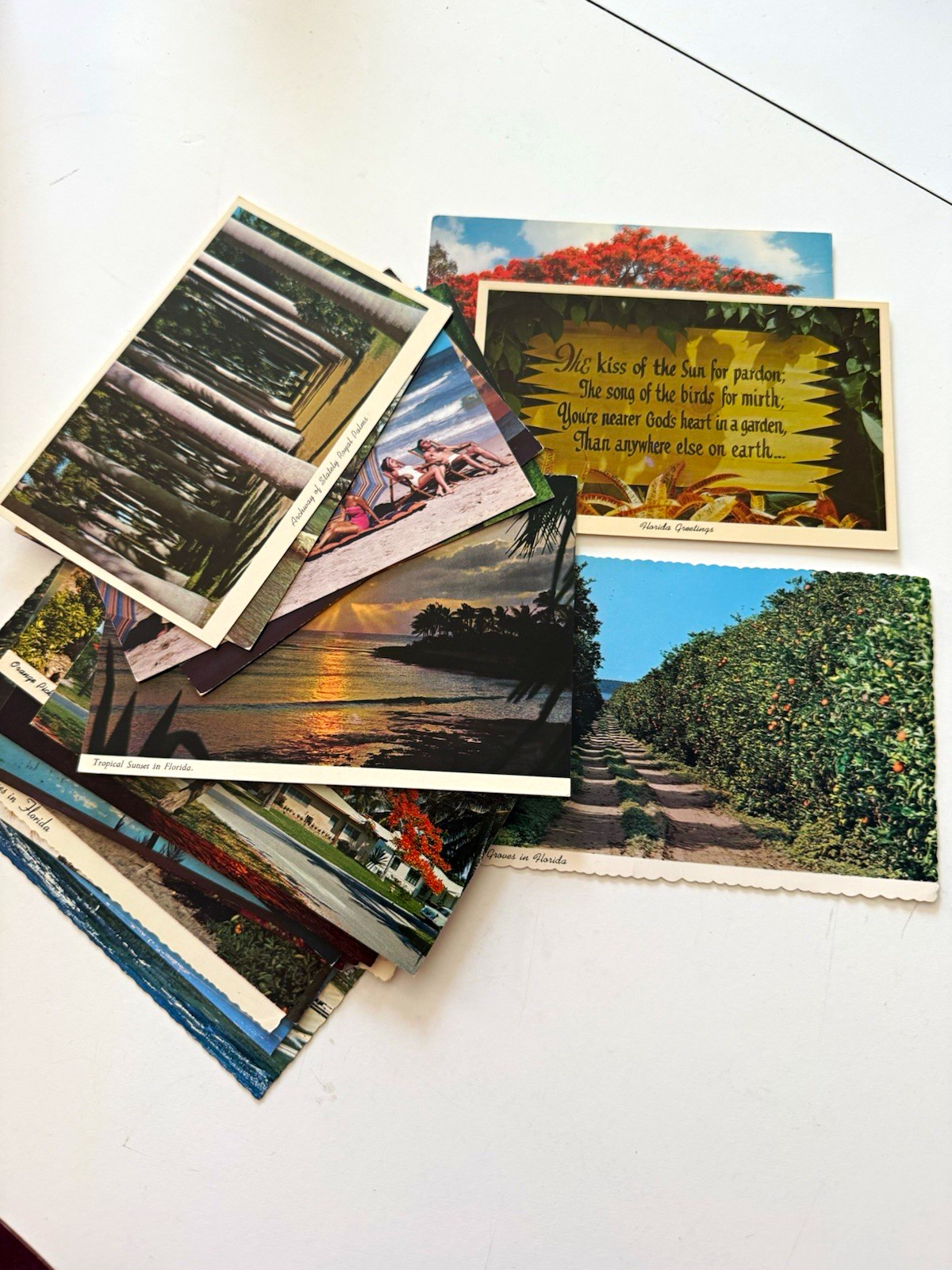 Florida Natural Color, Inc. Unposted Postcard Lot Miami FL Scenic Views 23pcs