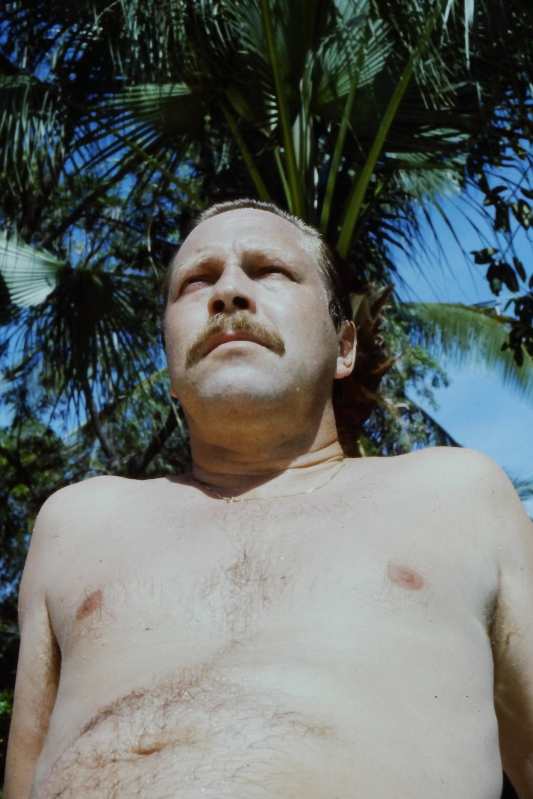 c1970\'s 35mm Slide, Man Portrait, Palm Tree green blue Tropical Color Photo