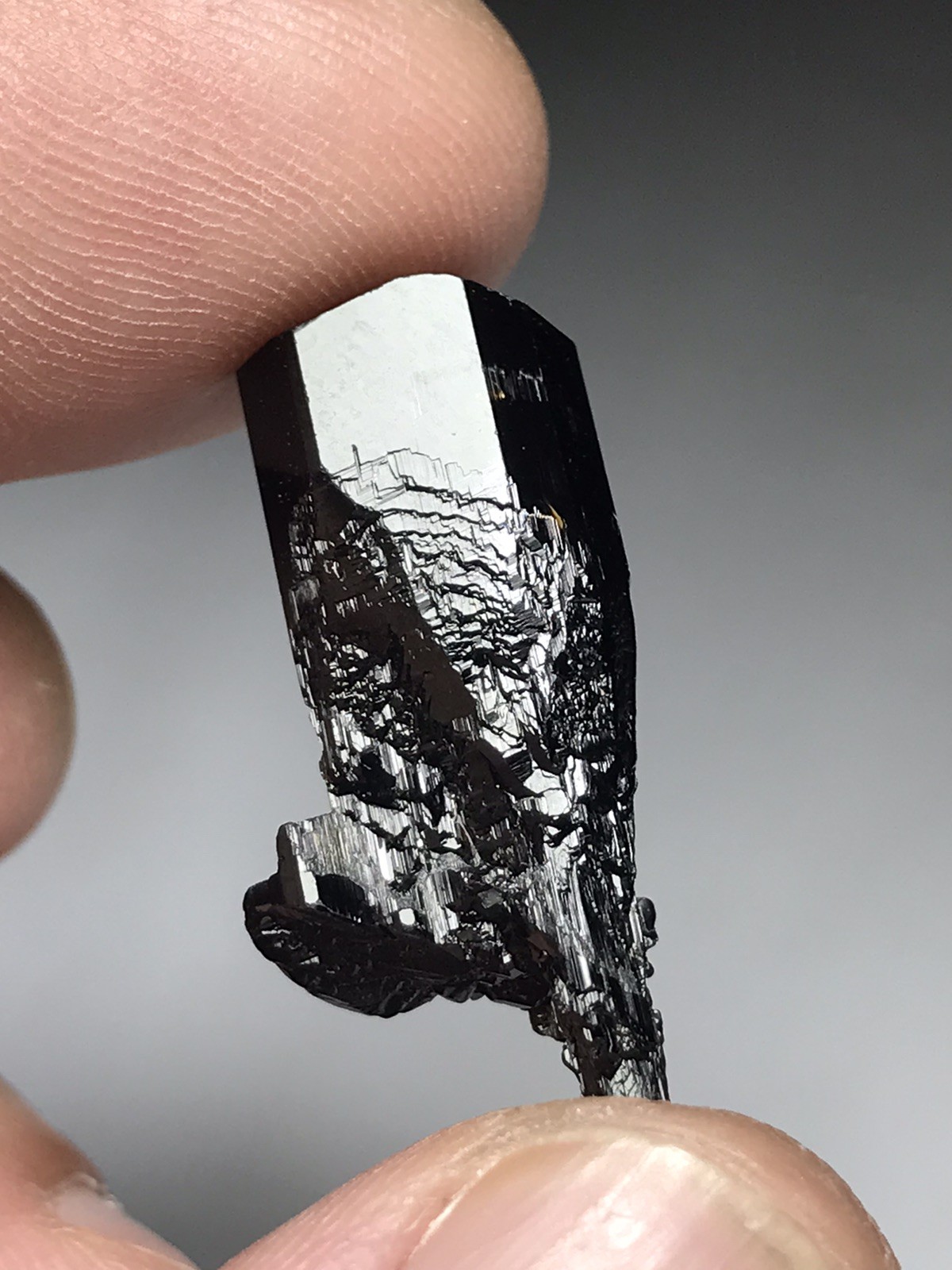 Schorl (Black Tourmaline) Scepter From Shigar Valley Gilgit-Baltistan Pakistan