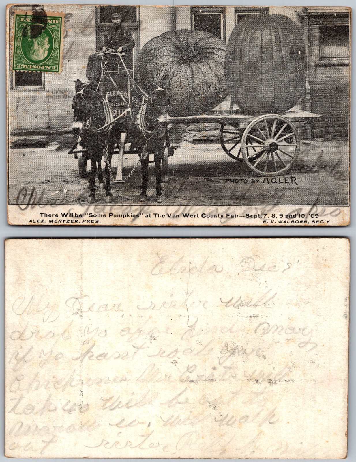 Exaggerated Horse Wagon Hauling Pumpkins Postcard