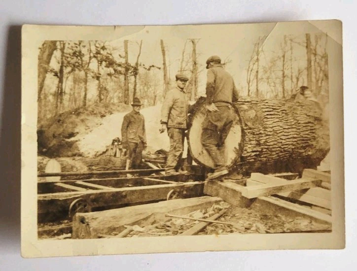 Vintage Real Photo Loggers Lumberjacks Mini Early 1900s Photograph Snapshot