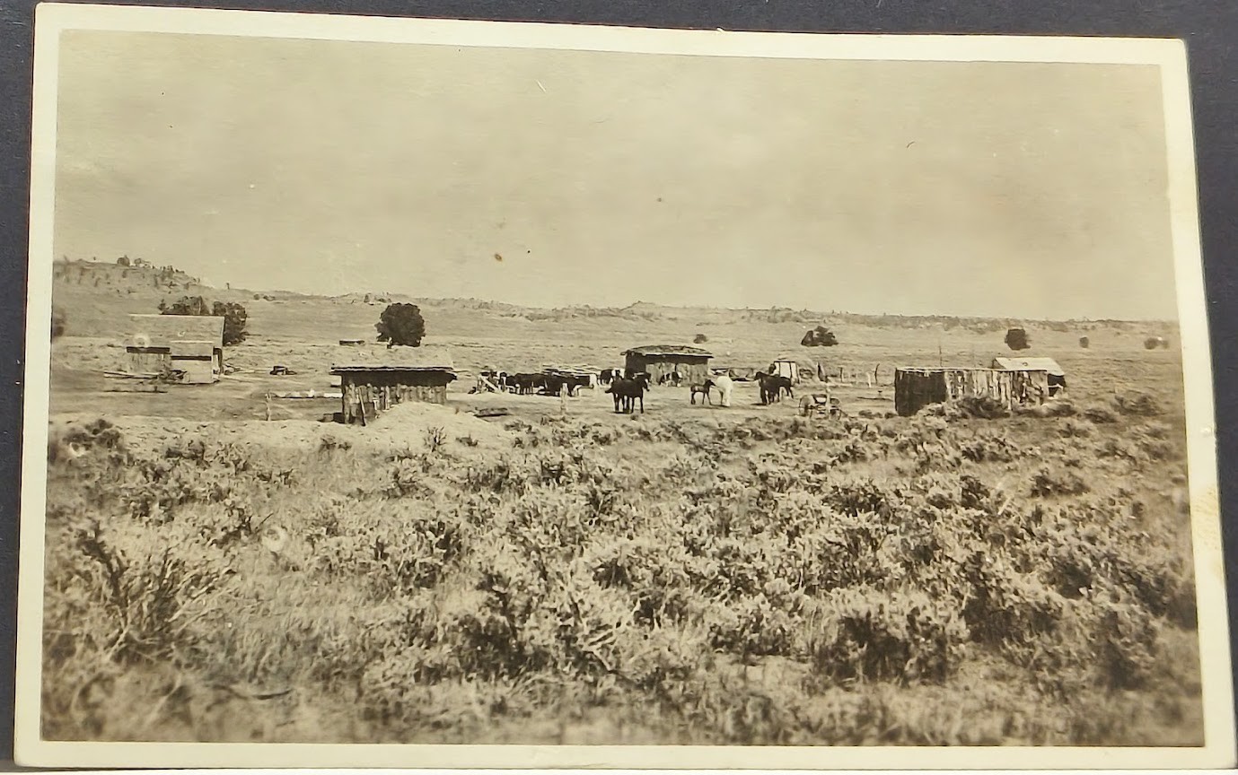 RPPC ~ American pioneer life from the twilight of the homesteading era