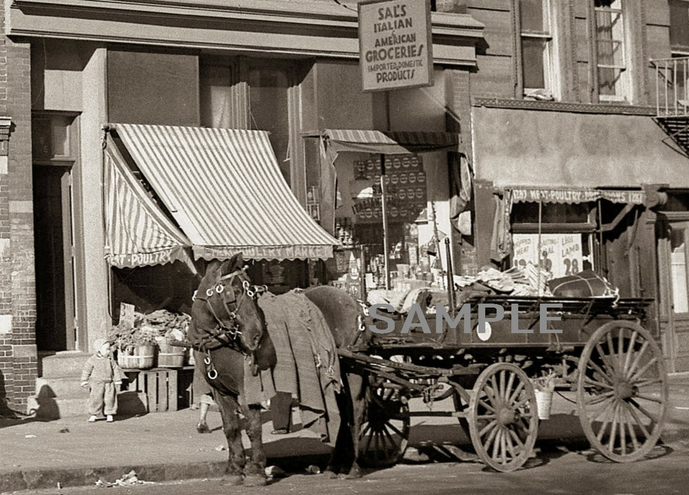 1936 BRONX GROCERY STORE Behind Horse Drawn Carriage 5x7 Borderless PHOTO