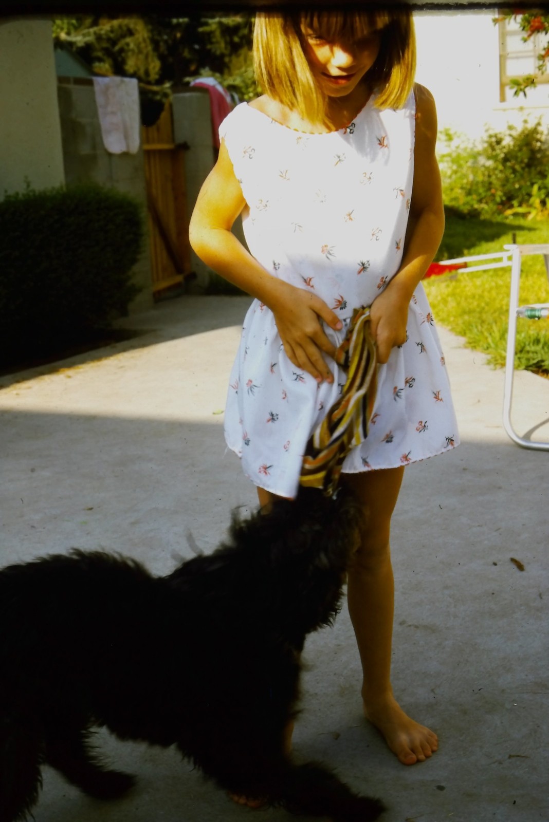 c1970\'s Kodachrome 35mm Slide, Girl Playing with Dog Outdoors Barefoot black