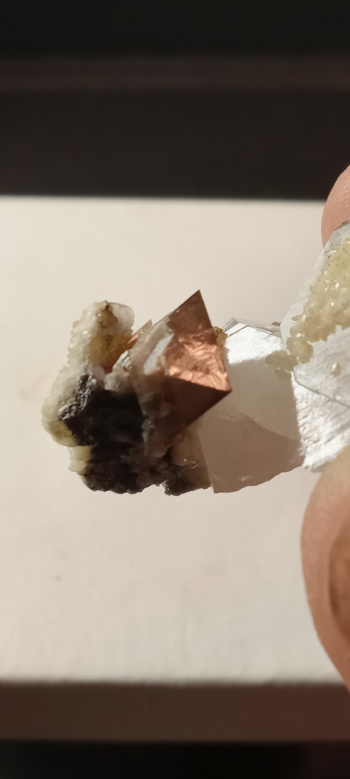 Scheelite on quartz & dolomite specimen Yaogangxian Mine, China