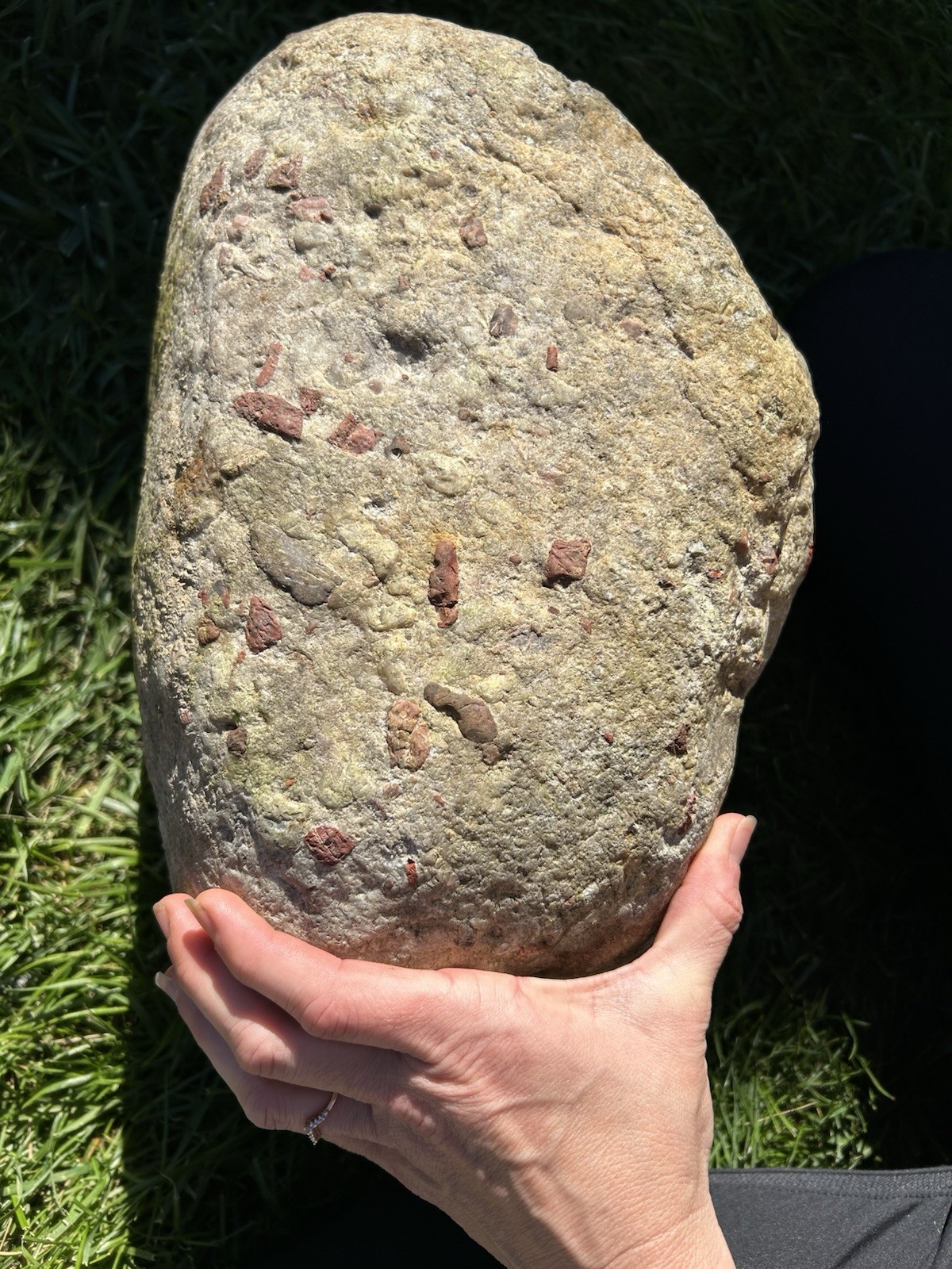 80lb HUGE Loaded Quartzite Lake Michigan Puddingstone New Pink Ish Undertones
