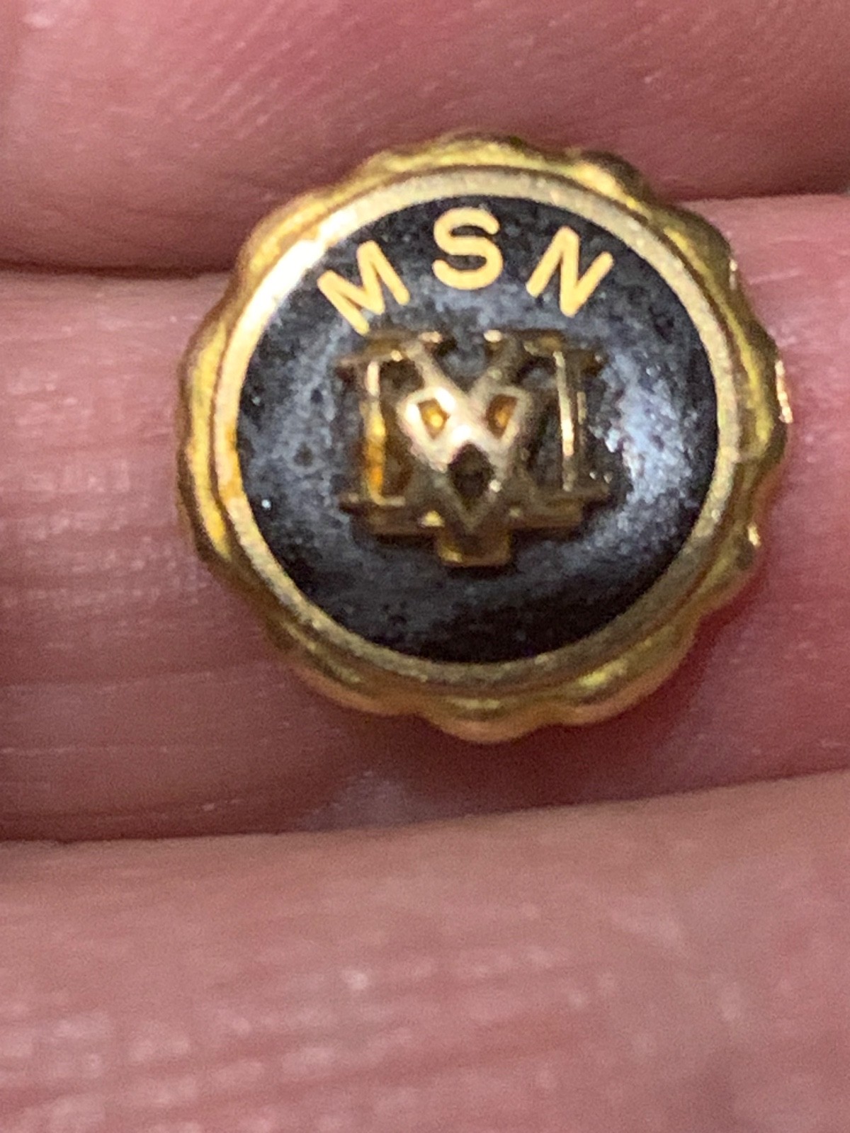 Vintage 14K Gold MSN Nursing Pin D.L. Auld Co Memorial School of Nursing 1.62g