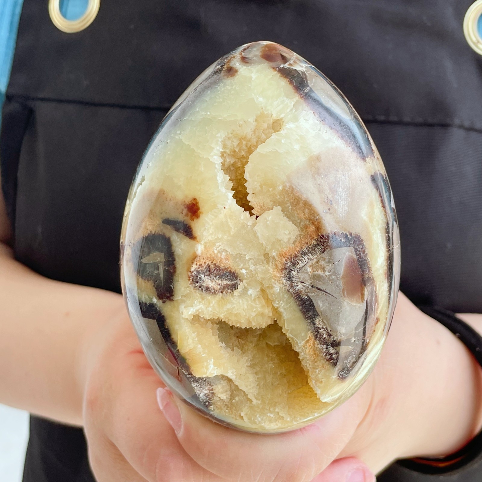 1.73LB Natural Dragon Septarian Quartz Egg Cluster Crystal Healing G6895