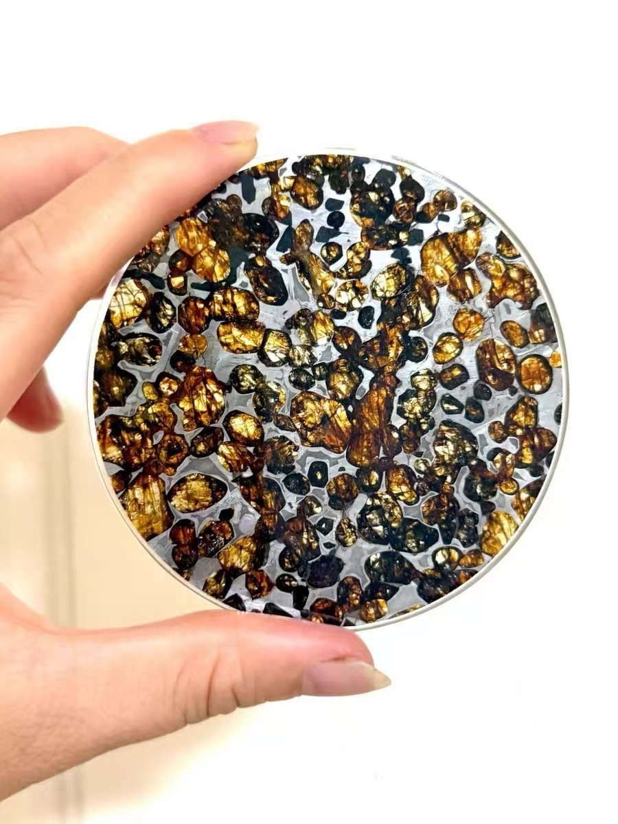 Sericho Pallasite Meteorite Slice Specimen Resin Coating With A Certificate