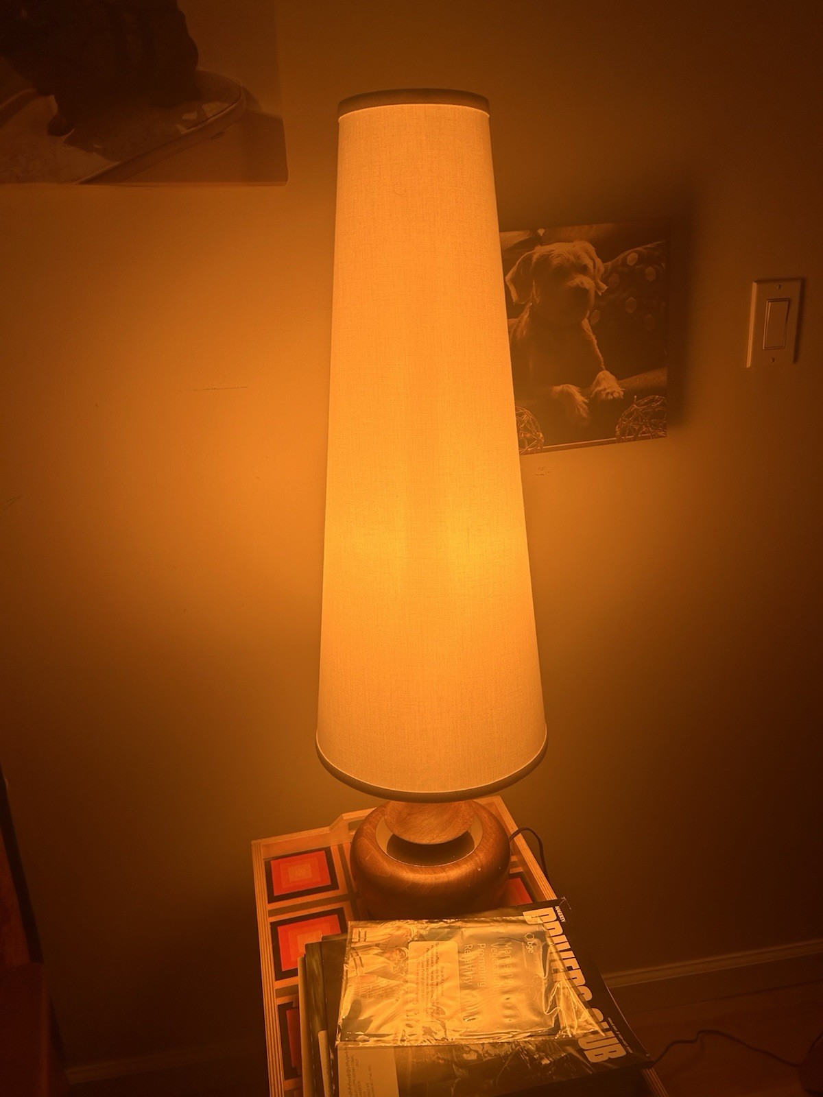 Arthur Jacobs Modeline 1695 Lamp 1963 California MCM Korina Brass Modeliter