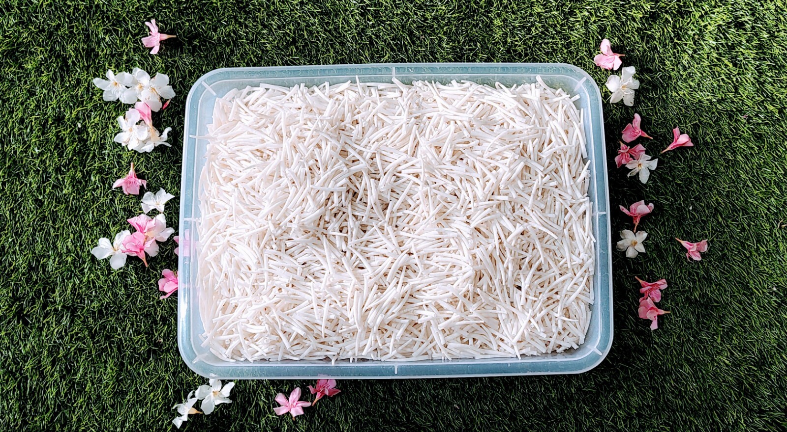 dentalium shells 5 kg - 11.02 Lbs.