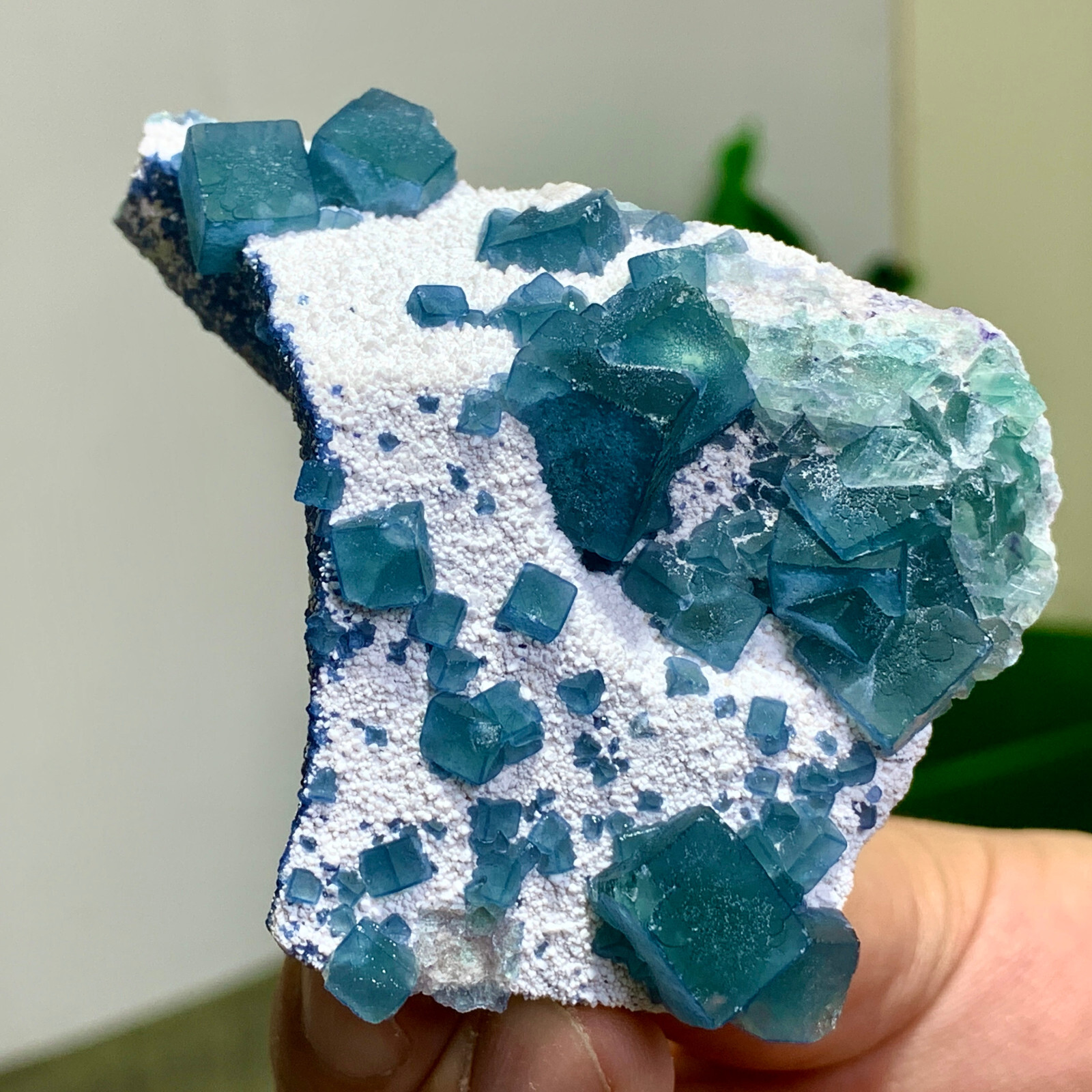 134G Natural Crystal rare transparent blue cubic fluorite sample