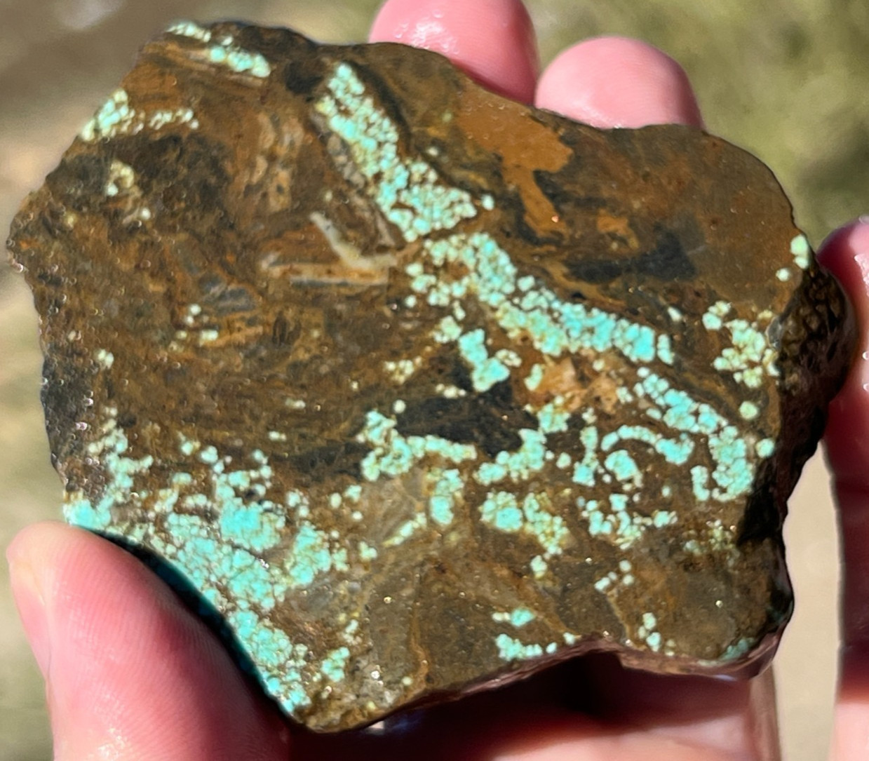 540cts Turquoise Old #8  Mine Nevada High Quality Slab 540cts