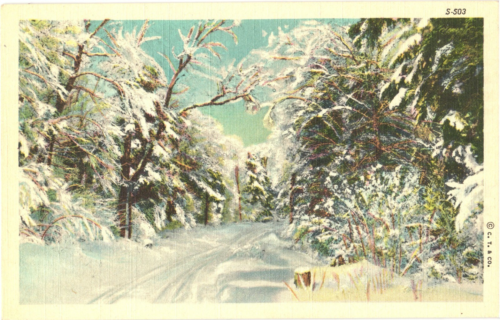 Winter Scene Snow Covered Road Trees Linen Postcard 1938 Curt Teich Unused