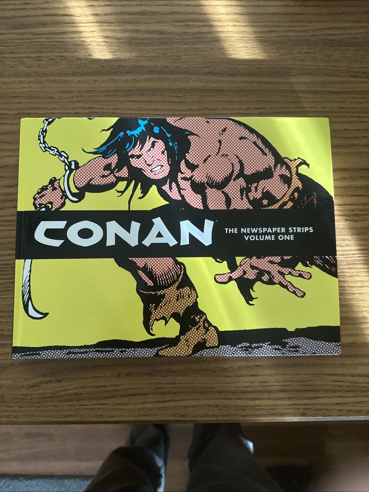 Conan-The Newspaper Strips #1 (Dark Horse Comics September 2010)