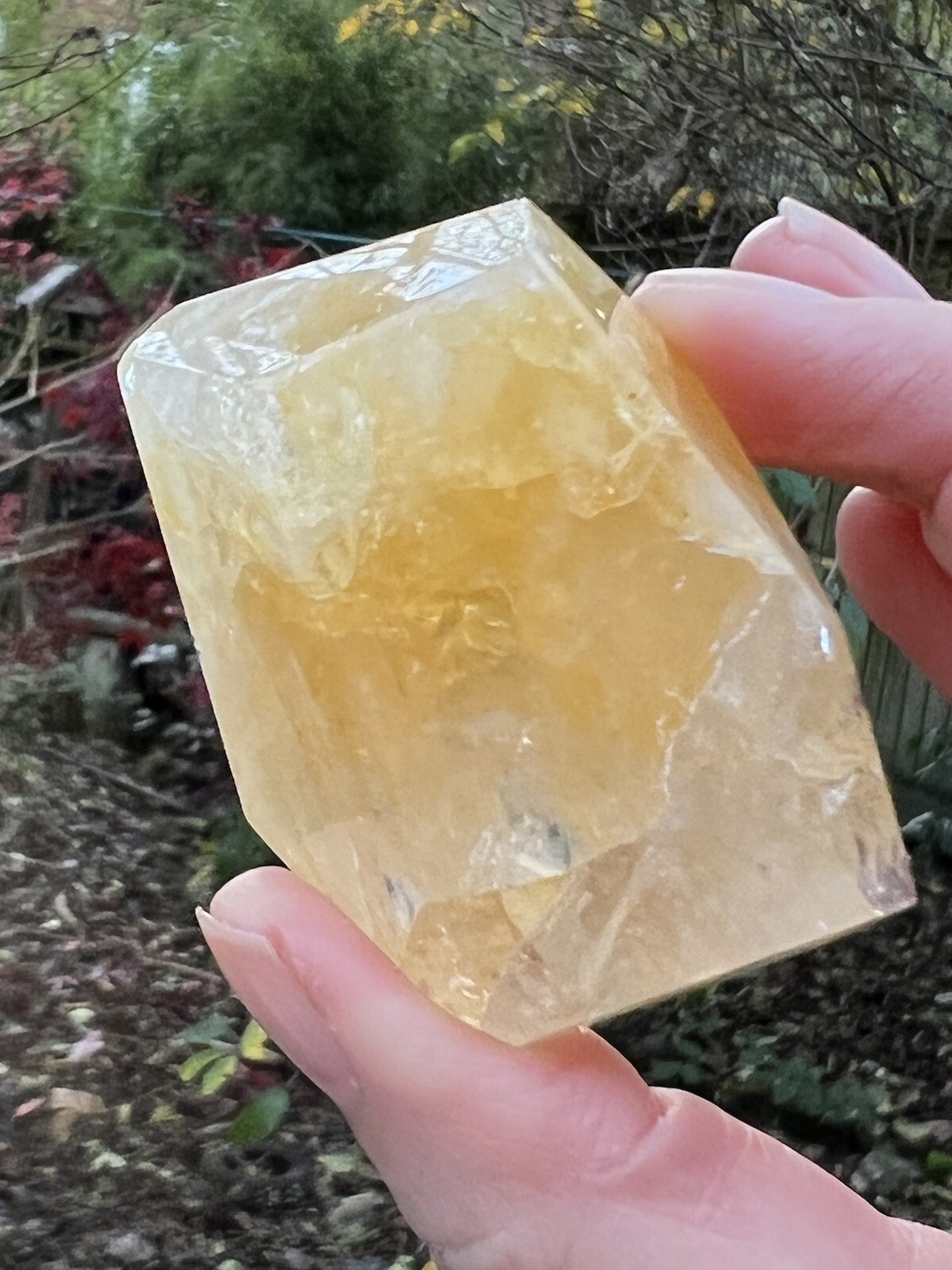 Golden Healer Quartz Freeform AAA+ 72g 41