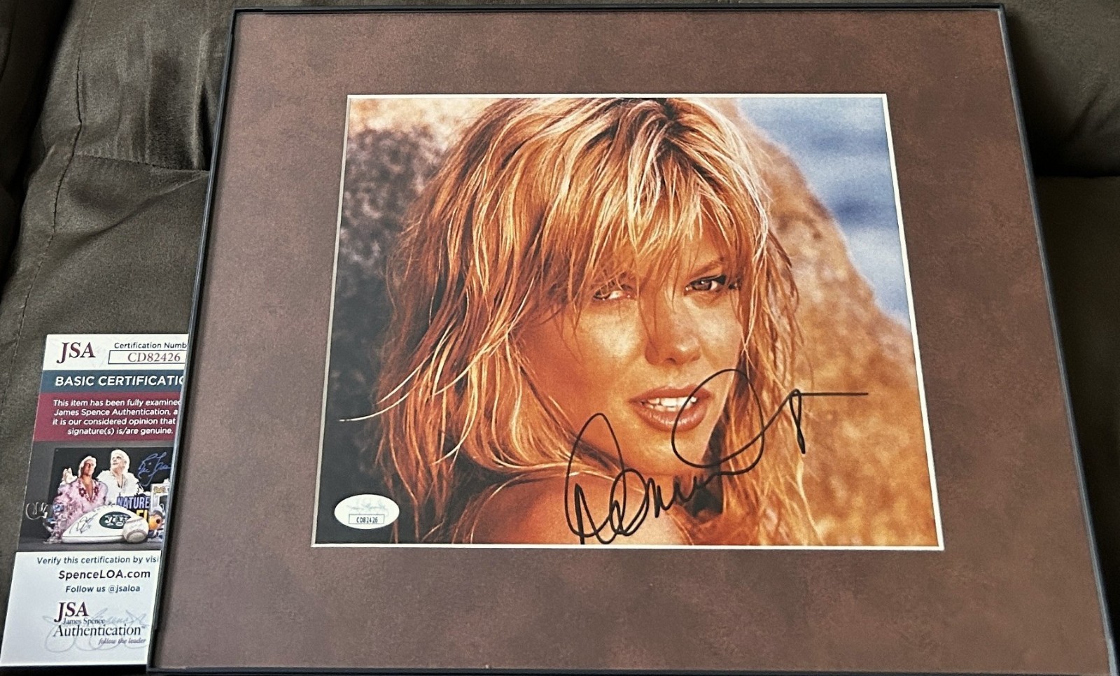 Donna D'Errico signed autograph Baywatch 8x10 photo framed JSA Playboy Playmate