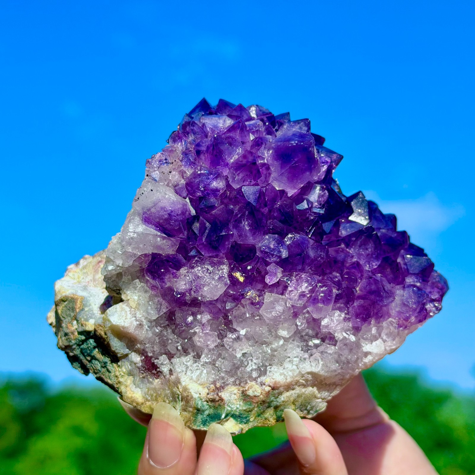 1.56LB Natural High-quality Amethyst Flowers Crystal Gem Quartz Cluster Specimen