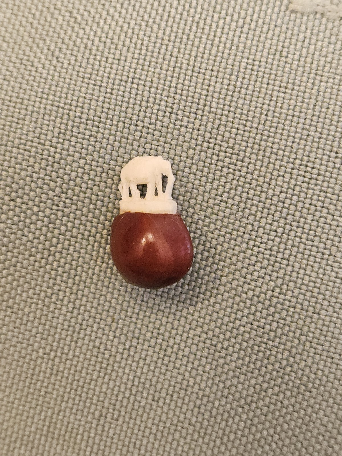 Lucky Elephant Seed Contains 12 Tiny Elephants