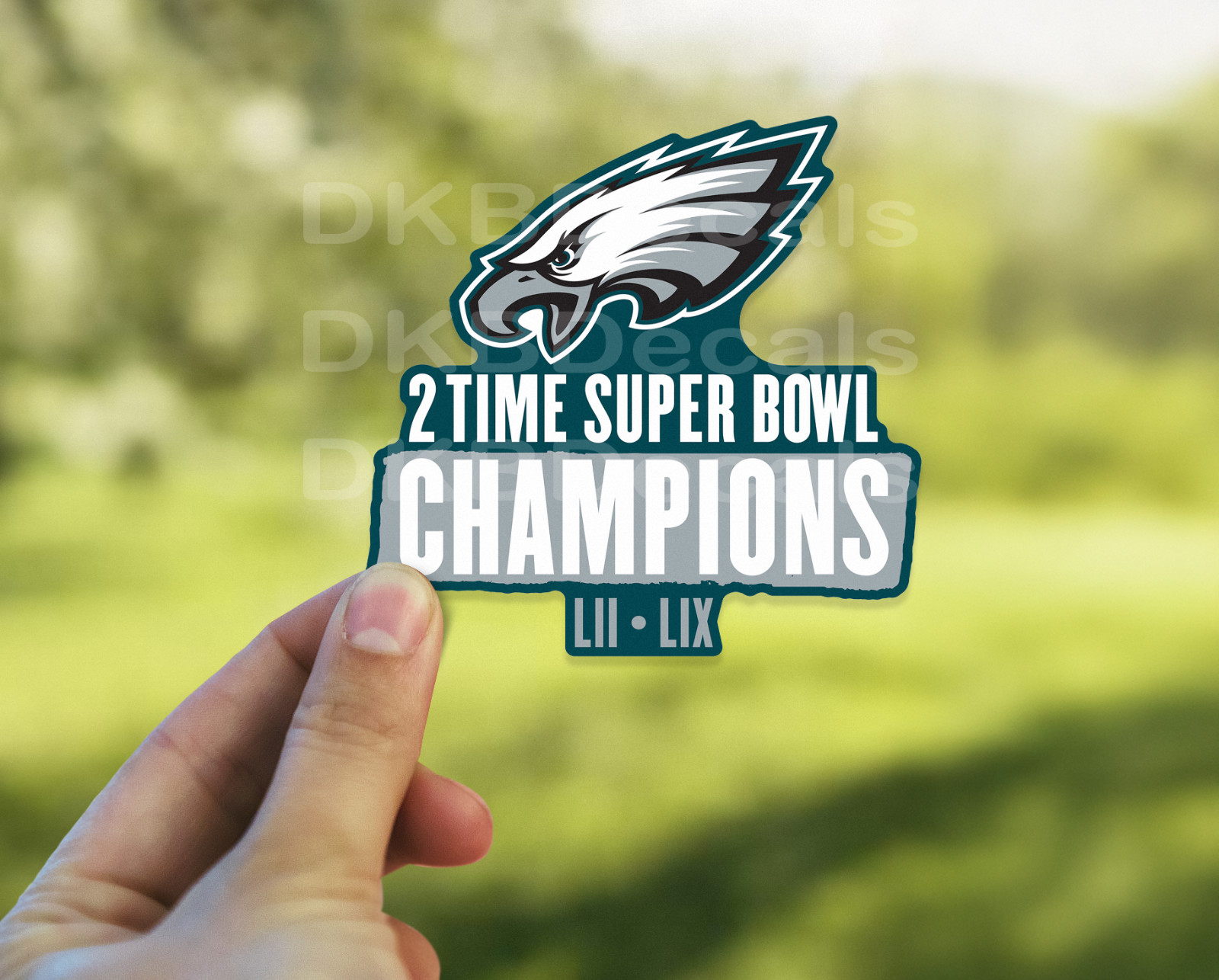 Philadelphia Eagles -  Super Bowl LIX Champions 3.5