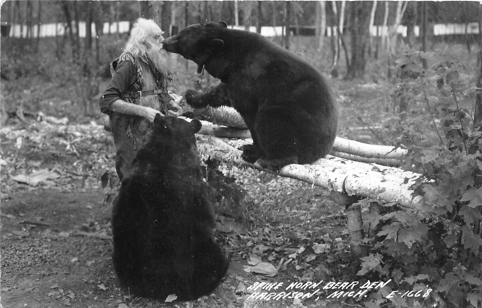 H32/ Harrison Michigan RPPC Postcard c40s Spikehorn Black Bear Den Kiss 18