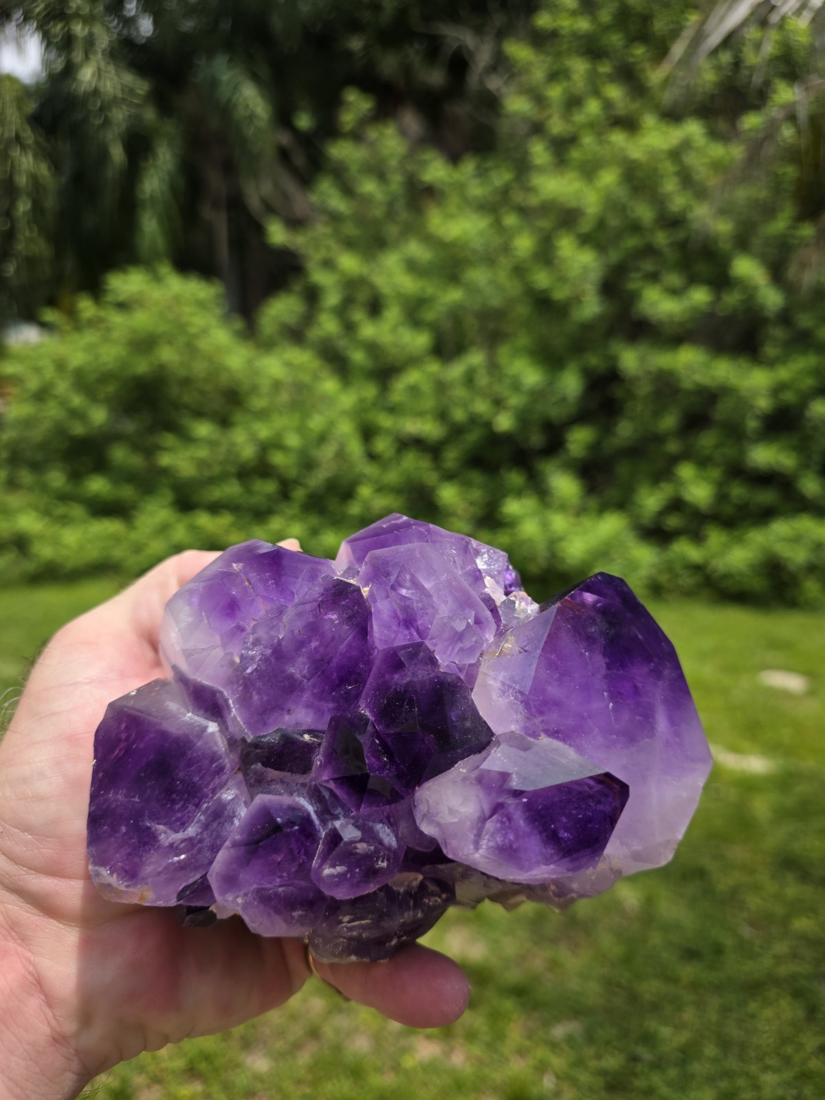 Quartz var. Amethyst Cluster, Jackson's Crossroads, Wilkes Co., Georgia, USA