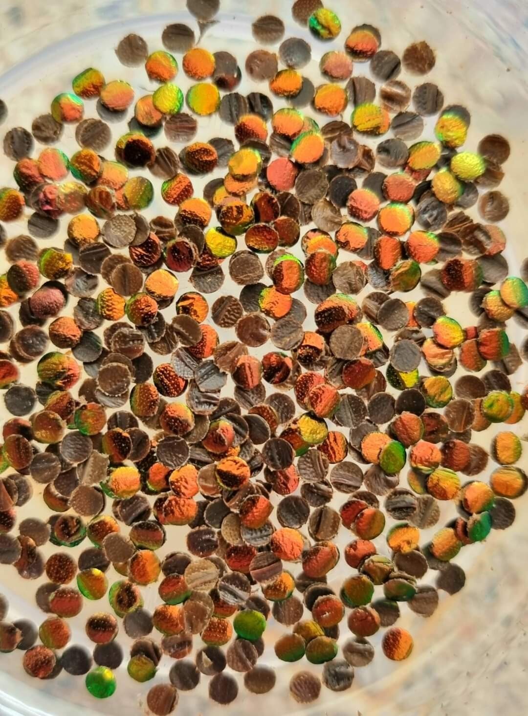 500 pcs. 3 mm. No Hole Golden Red Jewel Beetle Wings Sequins DIY Craft Supplies