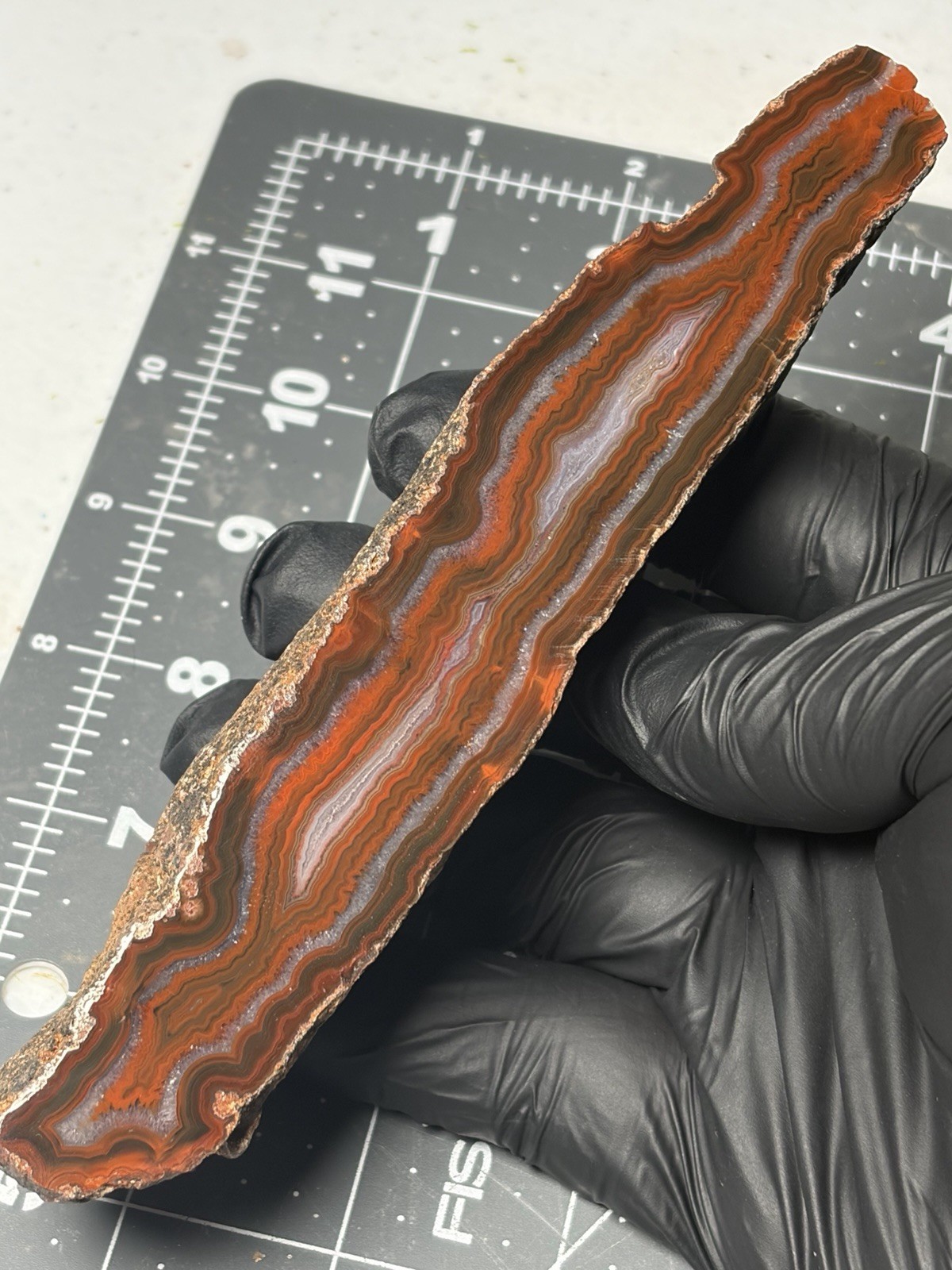 Stunning Condor Seam Agate Banding Quartz Polished Specimen
