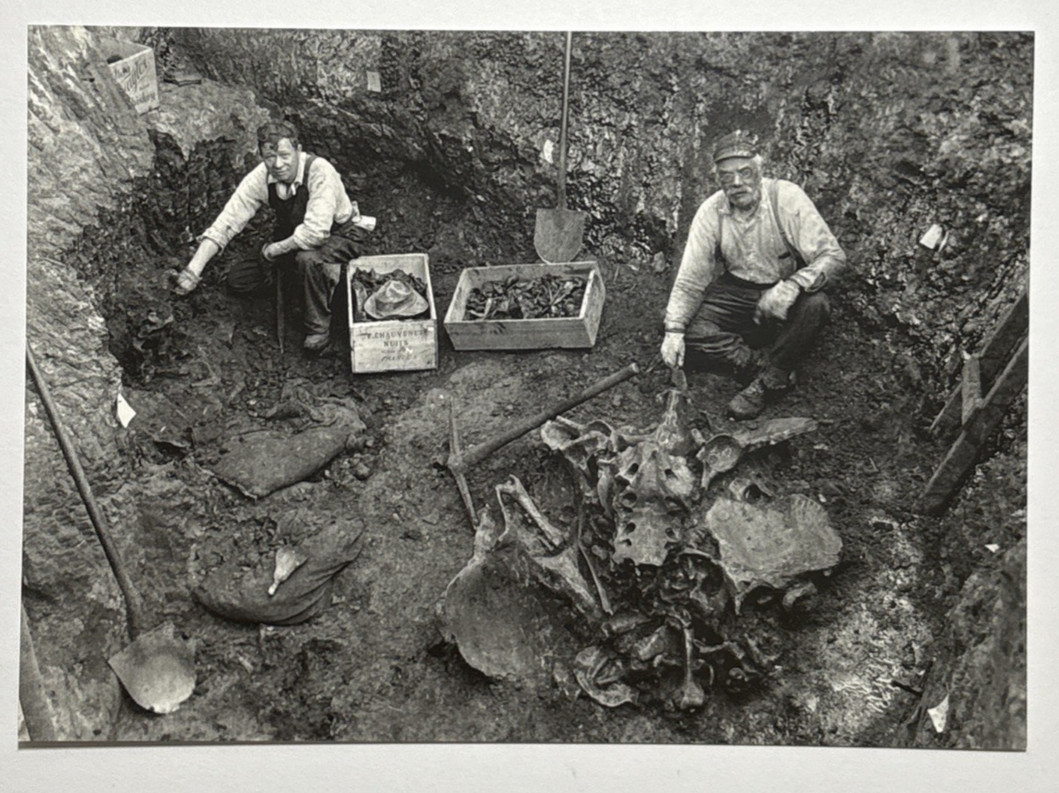 Early Dig Pit 77 at Rancho La Brea circa 1913 Los Angeles California Postcard