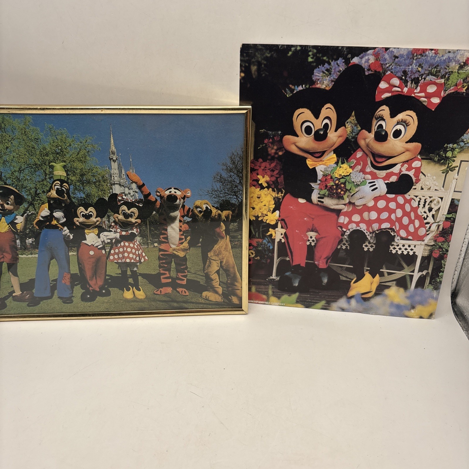 Vintage Walt Disney Photo Prints Mickey, Minnie, Donald, Goofy, Pluto, Tigger 