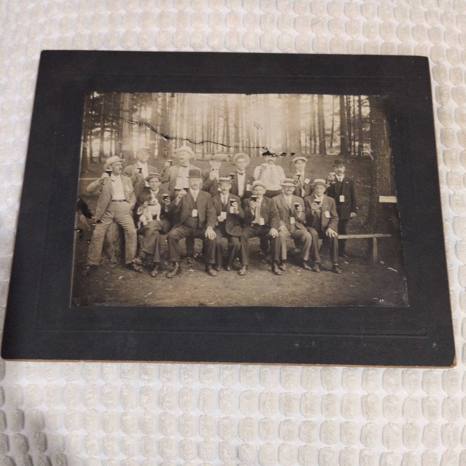 Antique Cabinet Card Photo Men Drinking Beer Mugs with Jack Russell Terrier Dog