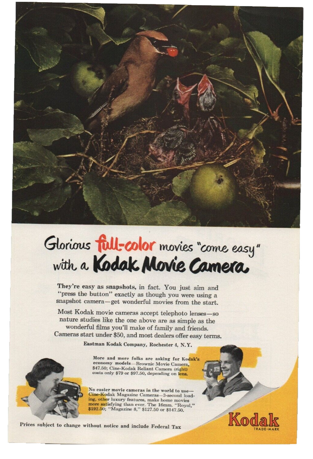 VTG Eastman Kodak 1951 Movie Camera Magazine Print Ad Rochester NY Birds in Nest
