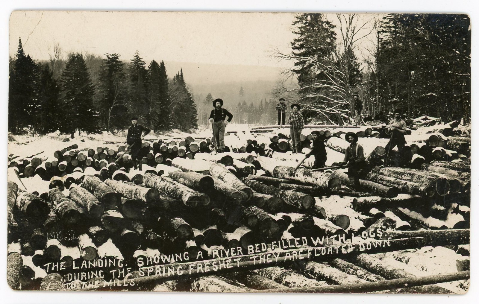 RPPC NY Adirondacks (Beach Photo) Lumbering The Landing a River Bed Full of Logs