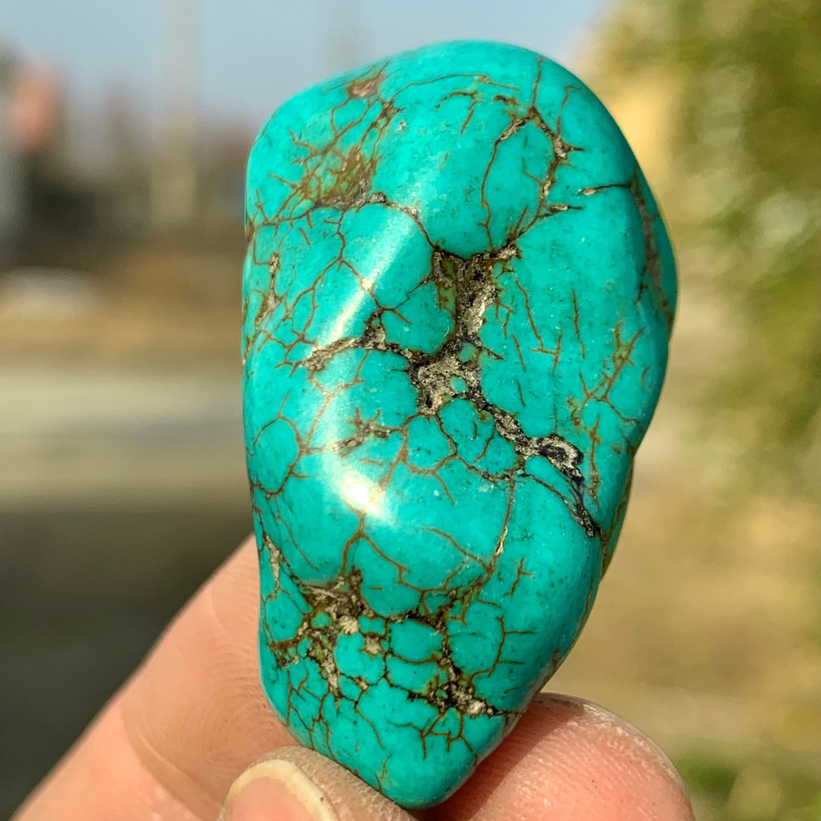 25G Natural turquoise Quartz Crystal Mineral Reiki specimen healing