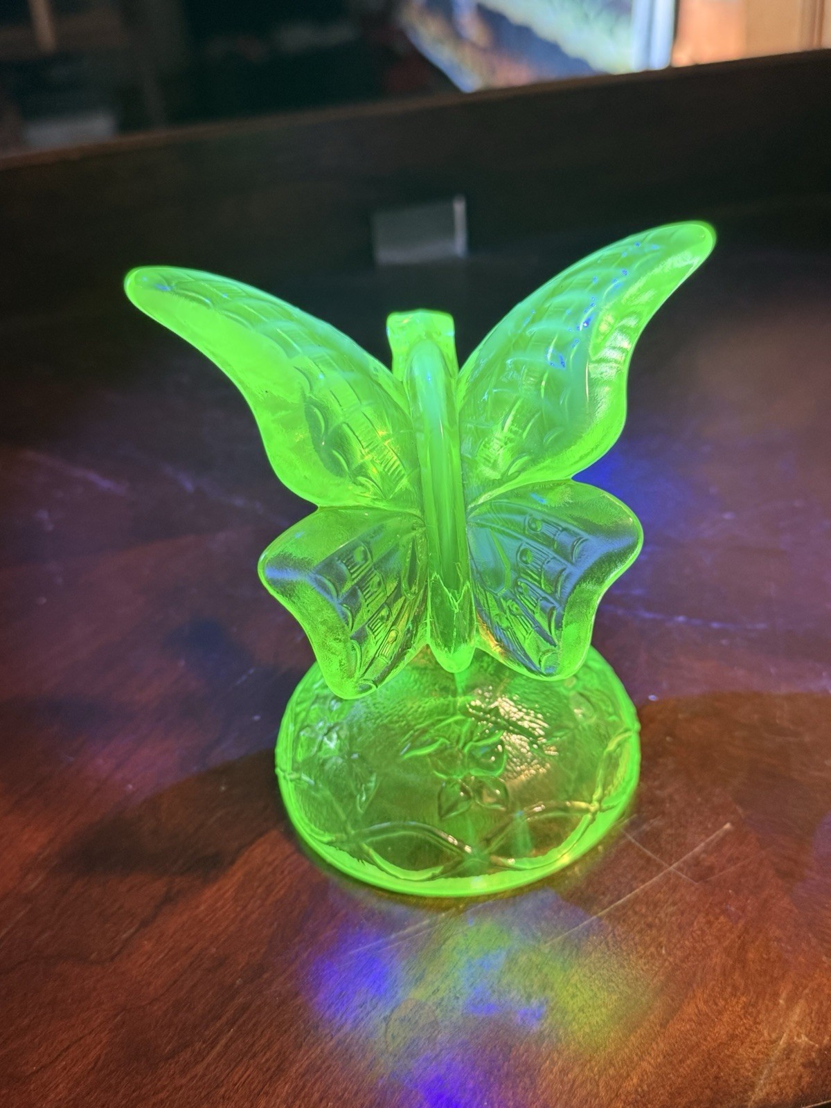 Fenton Art Glass \'Key Lime\' butterfly with logo . Uv Glow