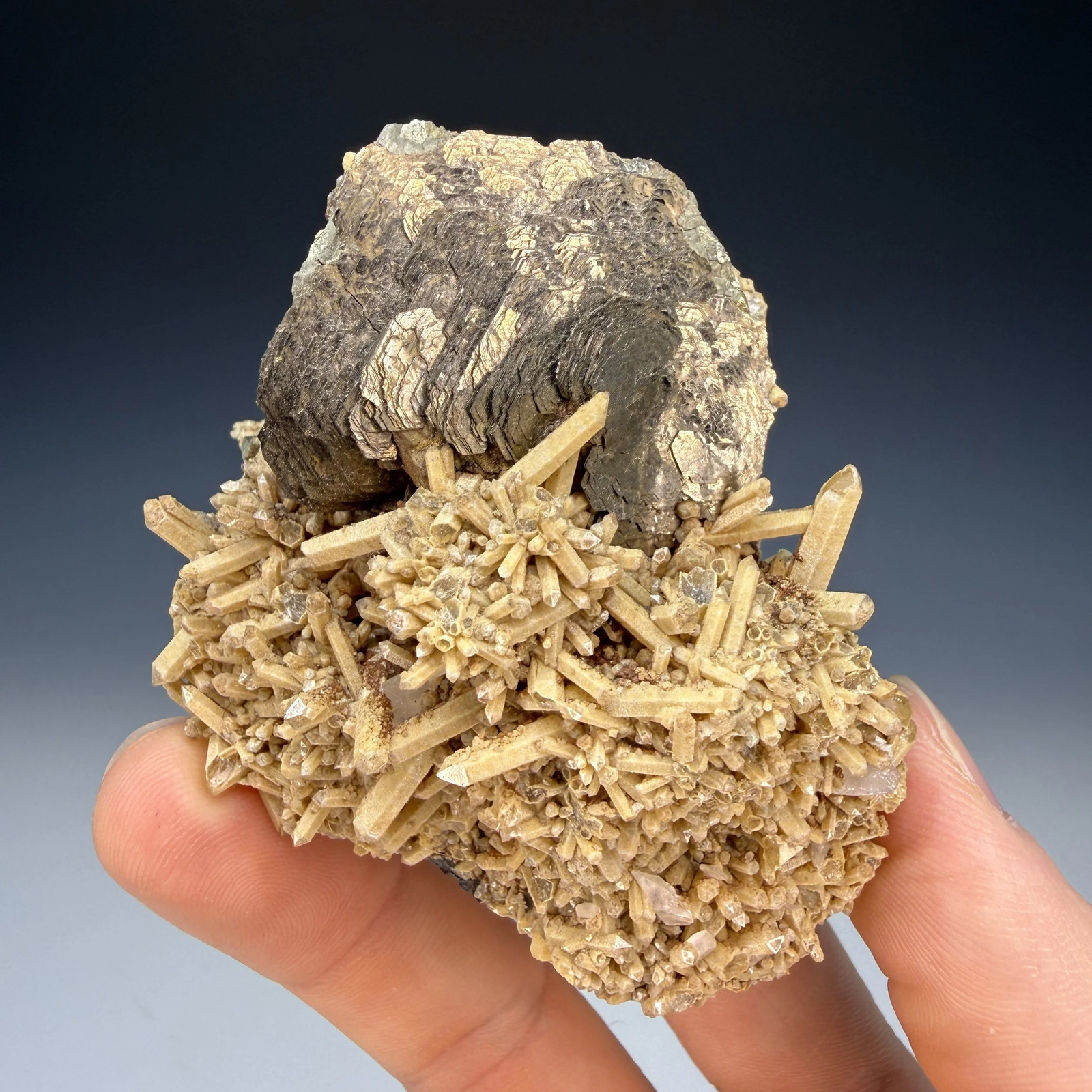 Pyrrhotite, Quartz, Pyrite, Calcite, Nikolaevskiy Mine, Dalnegorsk, Primorsky