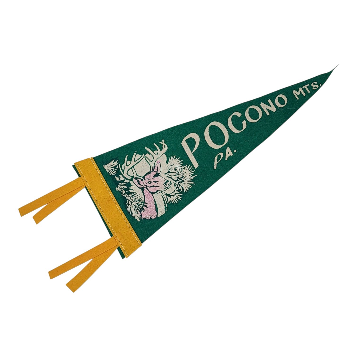 Mini Pocono Mountains Pennant 12