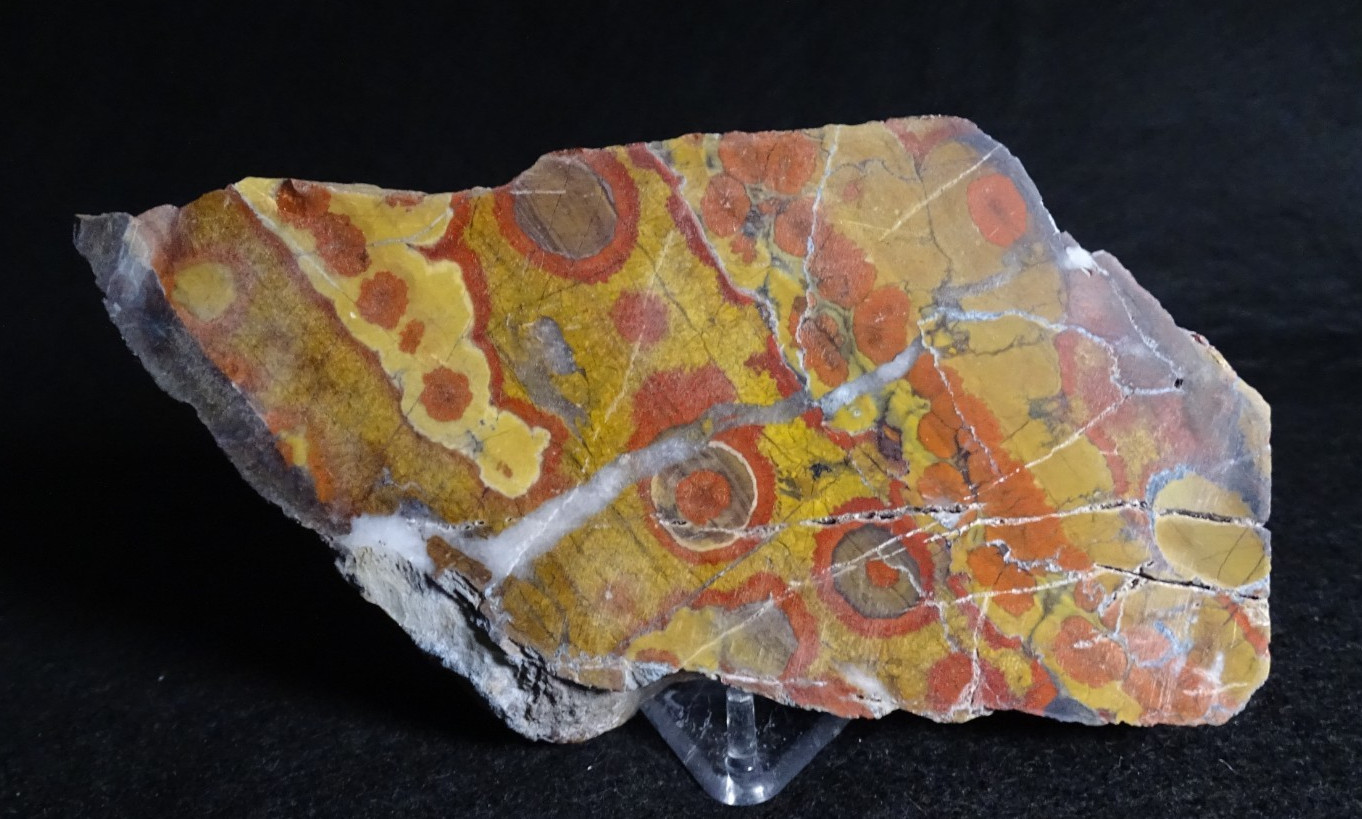 Morgan Hill Poppy Jasper Thick Slab Collector Lapidary Specimen California