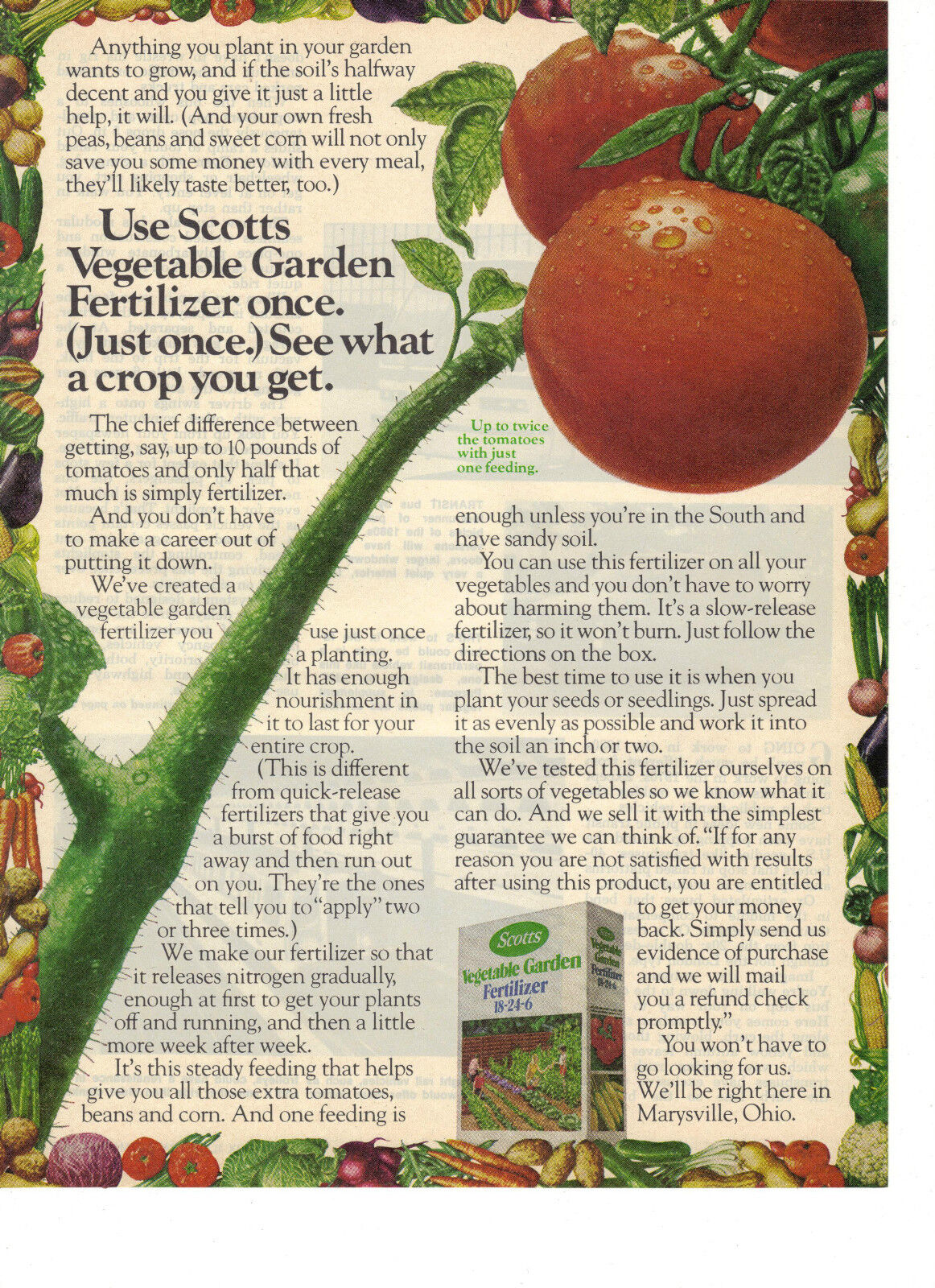 1978 Scotts Vegetable Garden Fertilizer Print Ad See What A Crop You Get